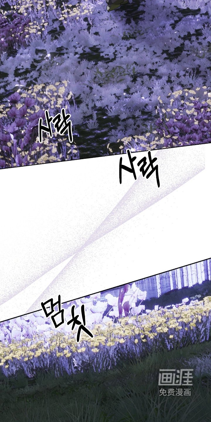 第52章：这么眼熟