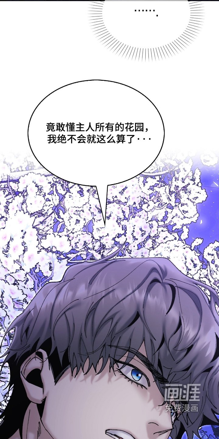 第52章：这么眼熟