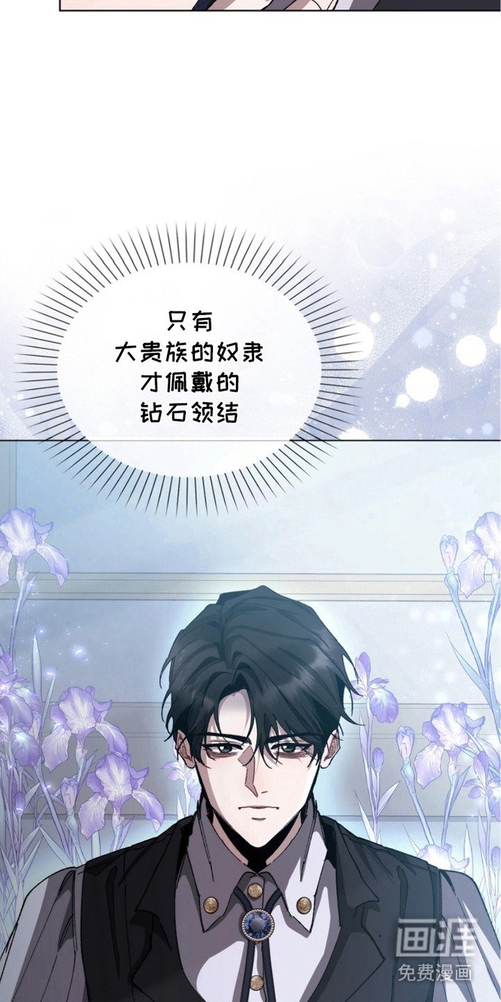 第6章：奴隶领结