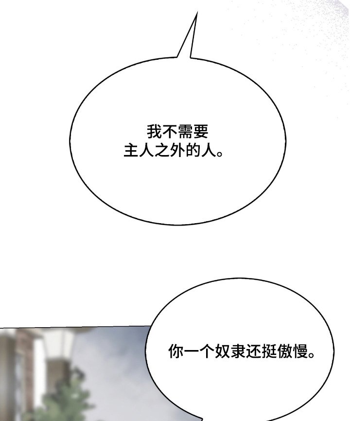 第62章：惩罚我吧