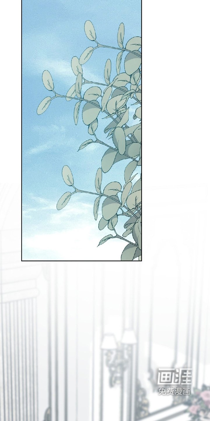 第63章：很合适你