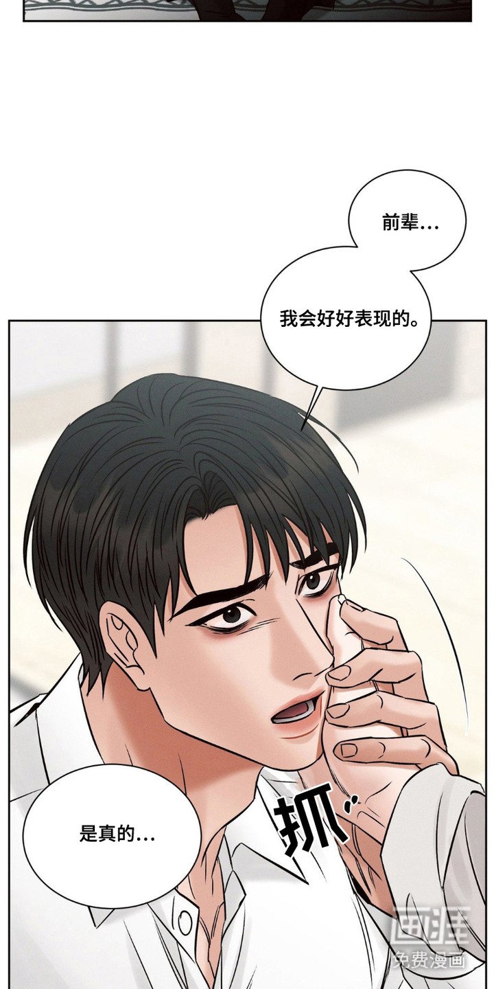 第11章：回来了（完结）