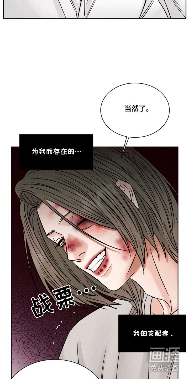 第11章：回来了（完结）