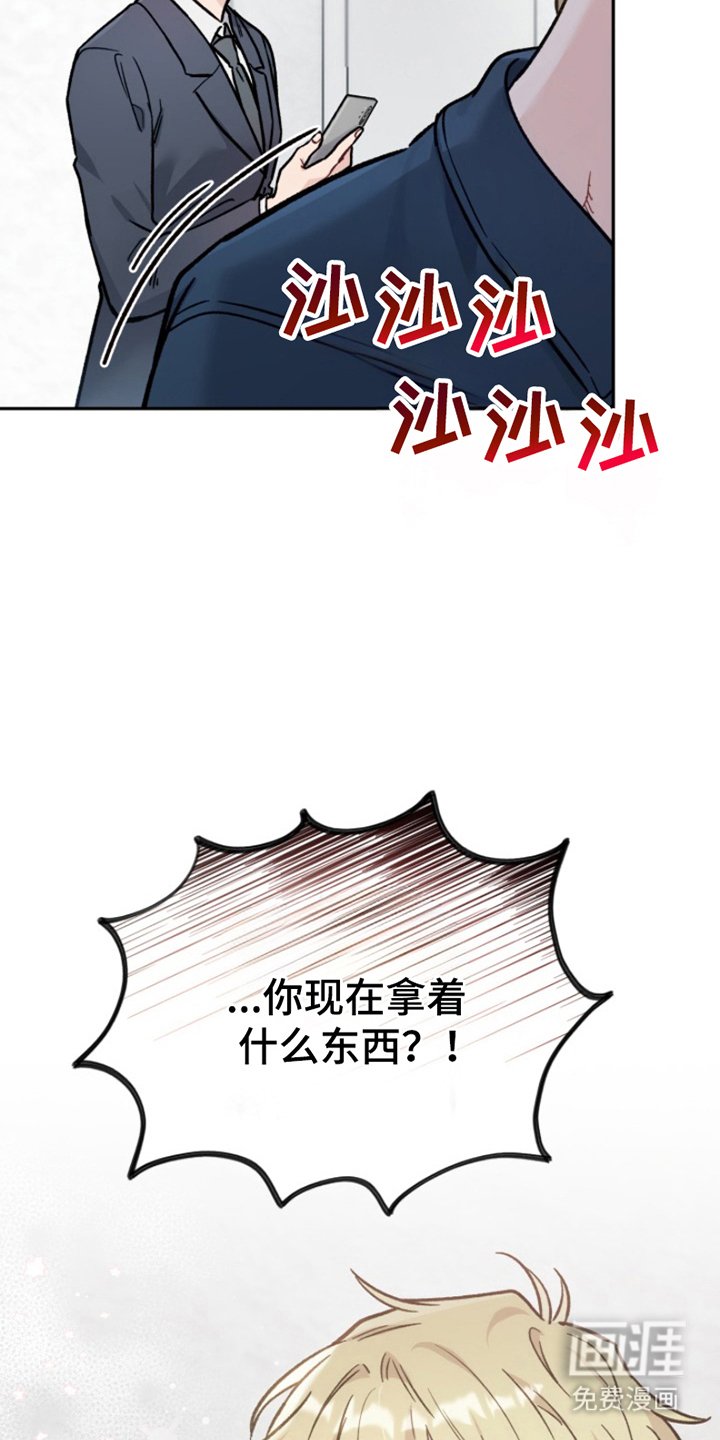 第3章：结论是