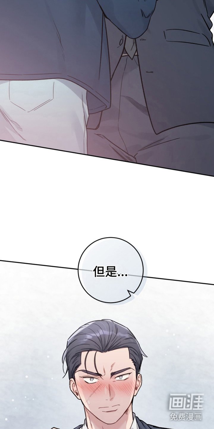 第3章：结论是