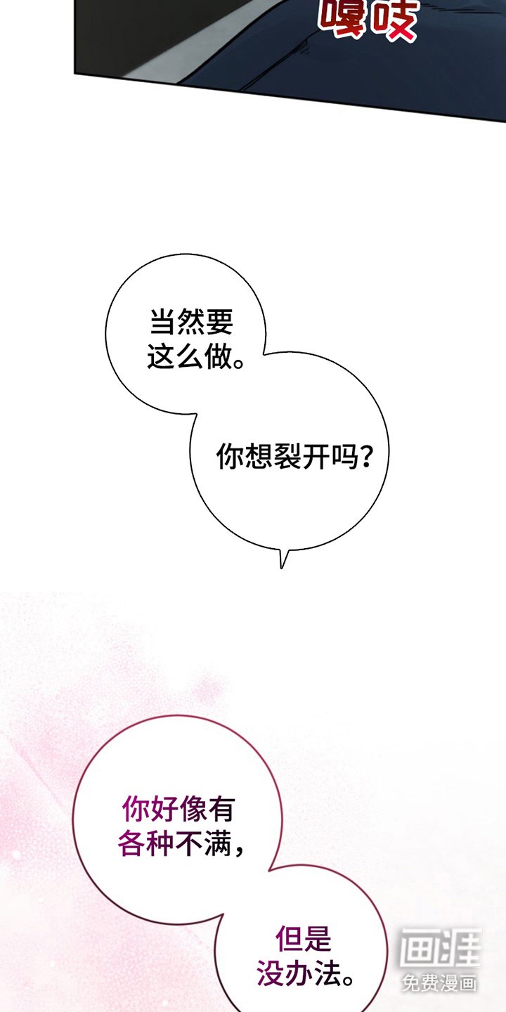 第3章：结论是