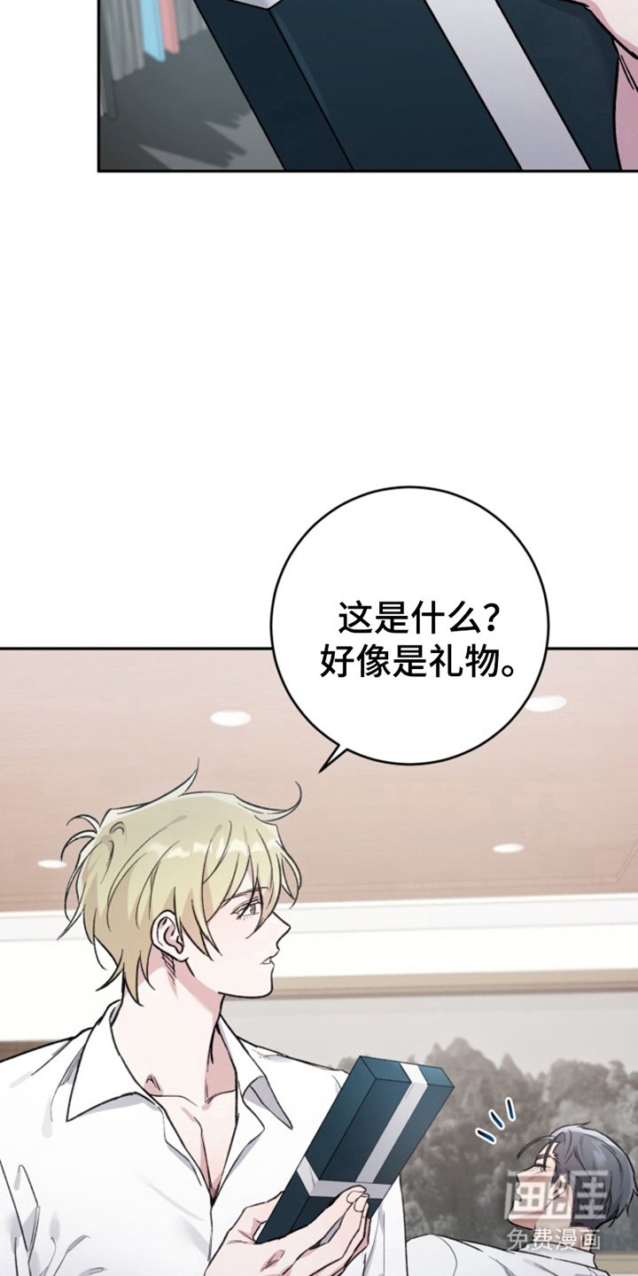 第8章：向你道歉