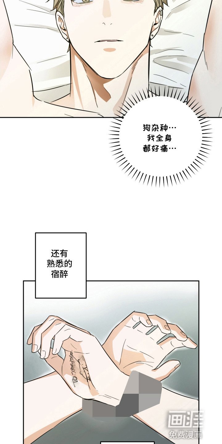 第4章：模特