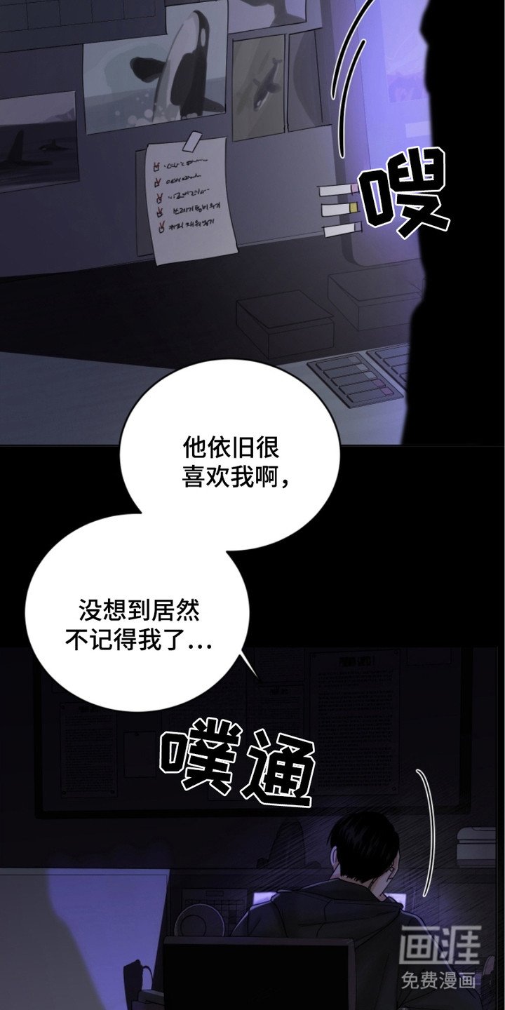 第12章：不愿错过