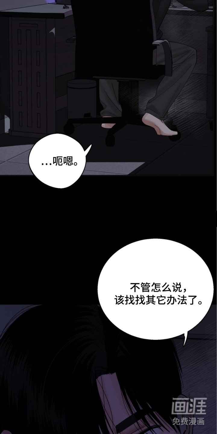 第12章：不愿错过