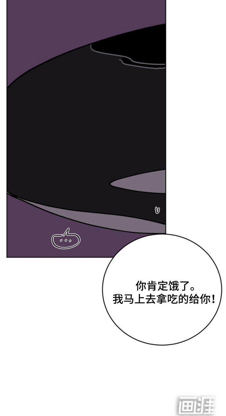 第12章：不愿错过