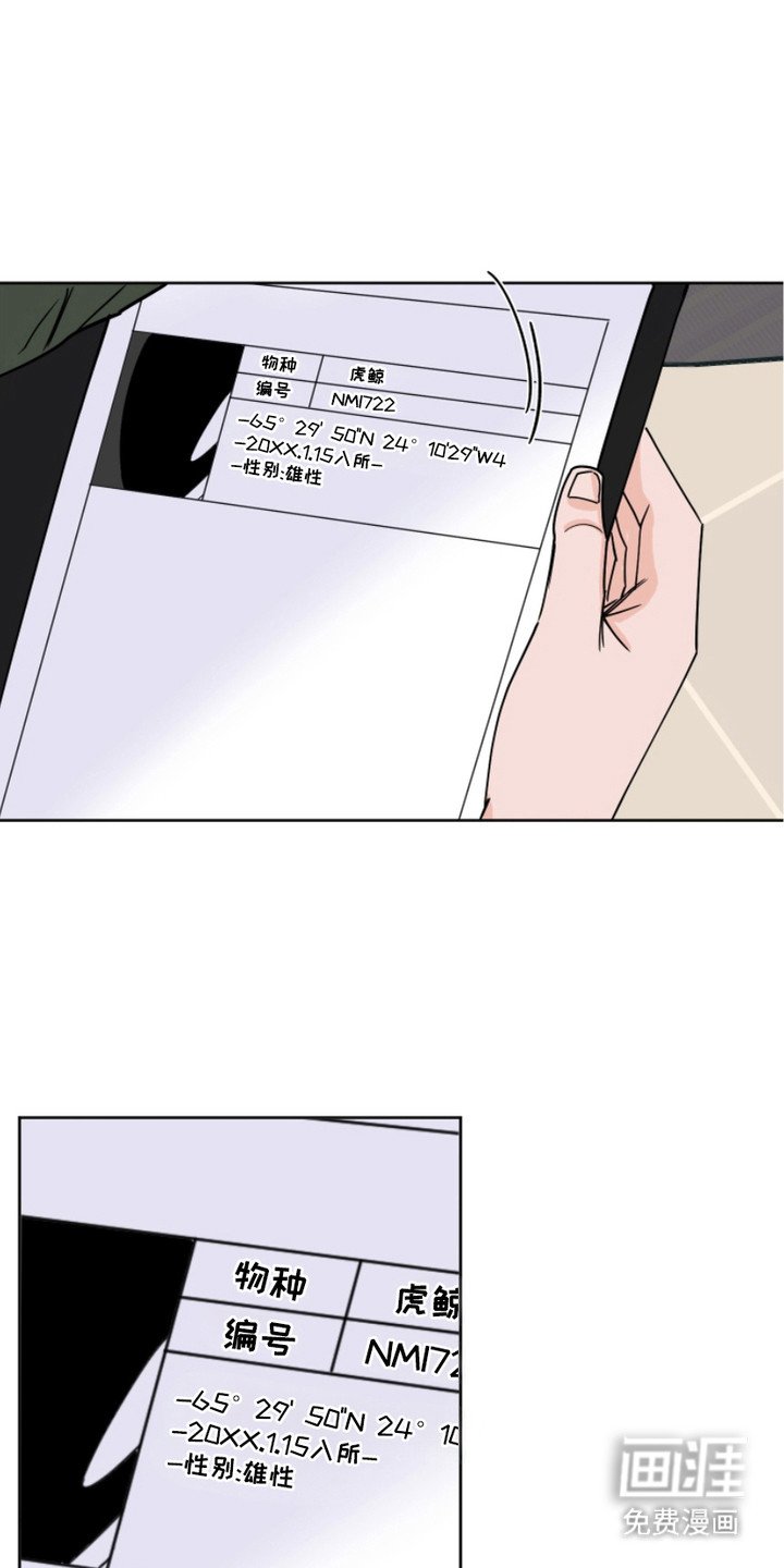 第13章：空白记录