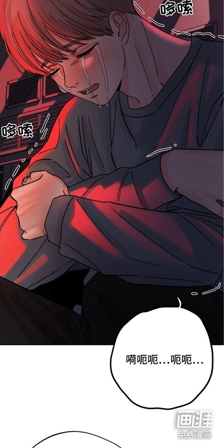 第17章：伤心