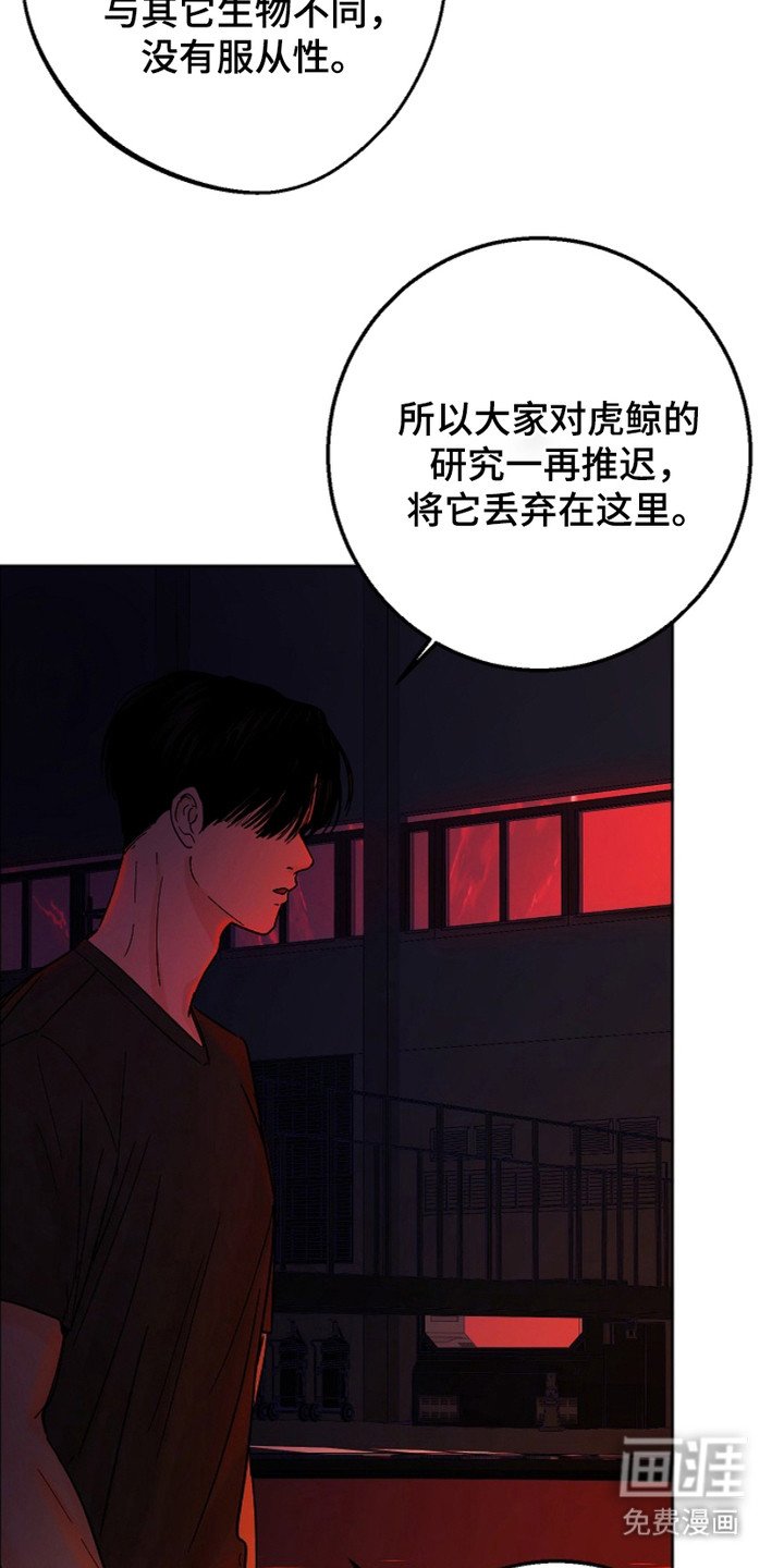 第18章：关心