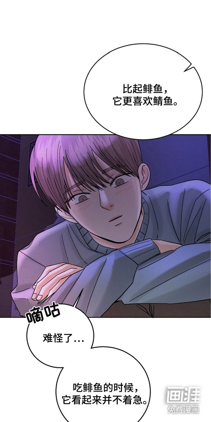 第18章：关心