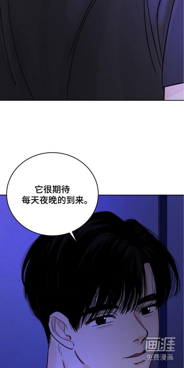 第19章：倾诉
