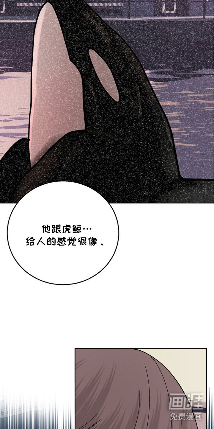 第22章：胡思乱想