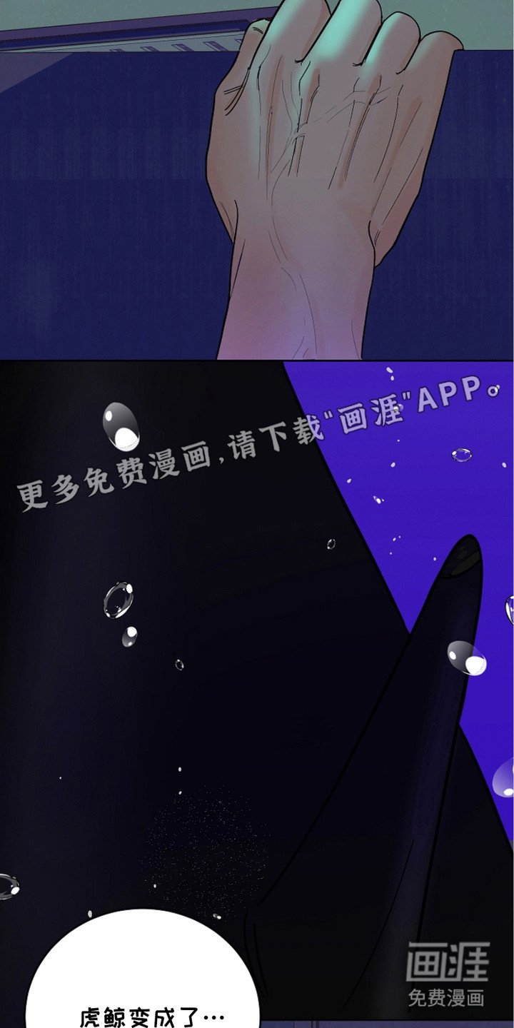 第22章：胡思乱想