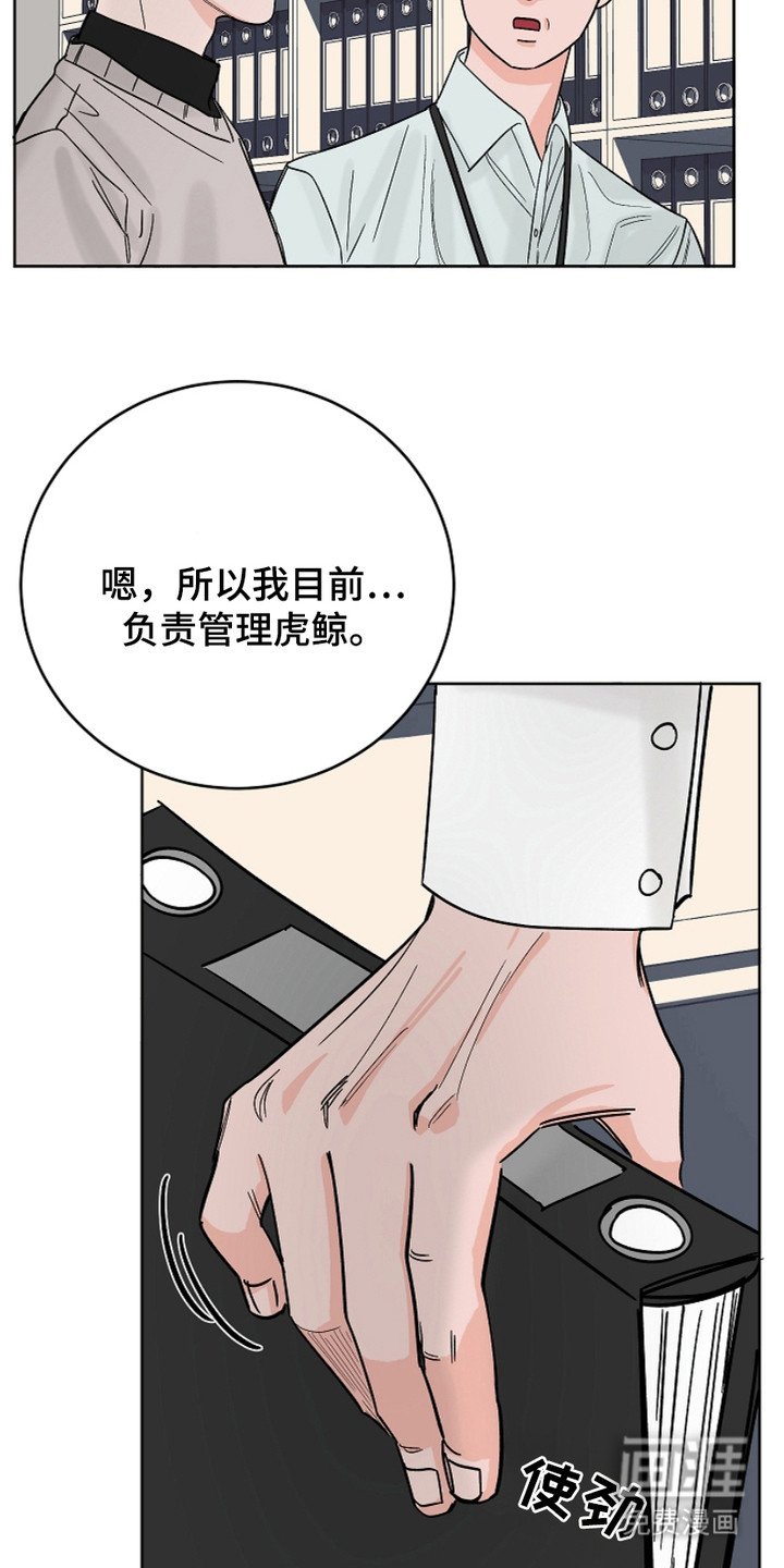 第23章：表达想法