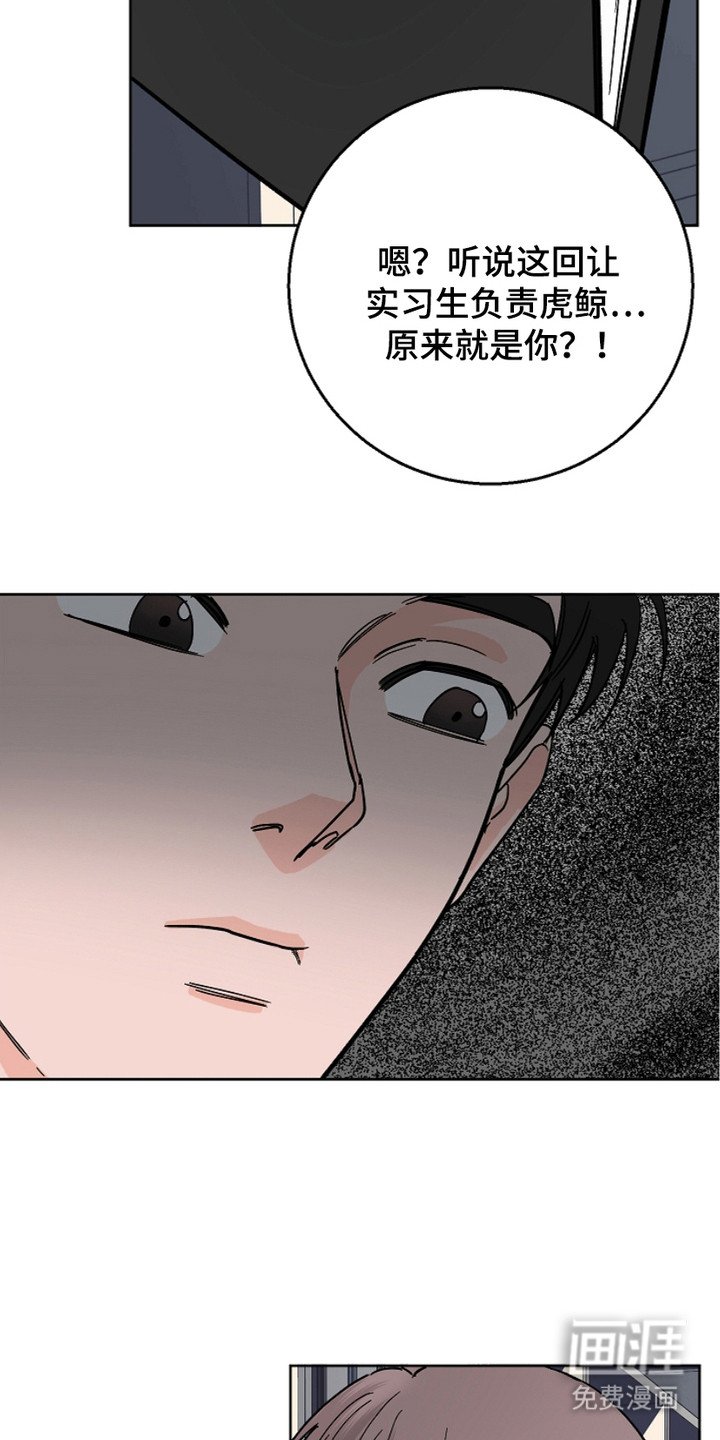 第23章：表达想法