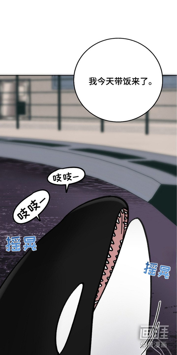 第26章：猎物