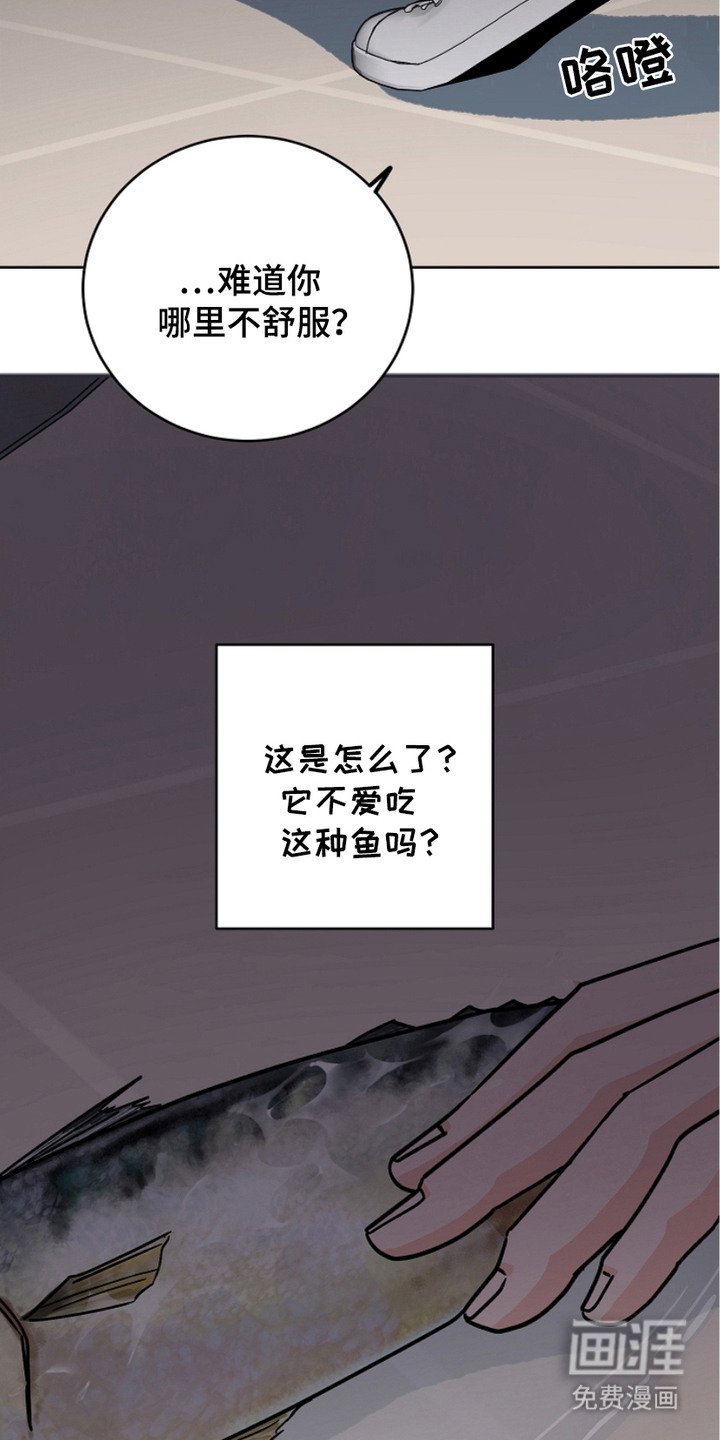 第26章：猎物