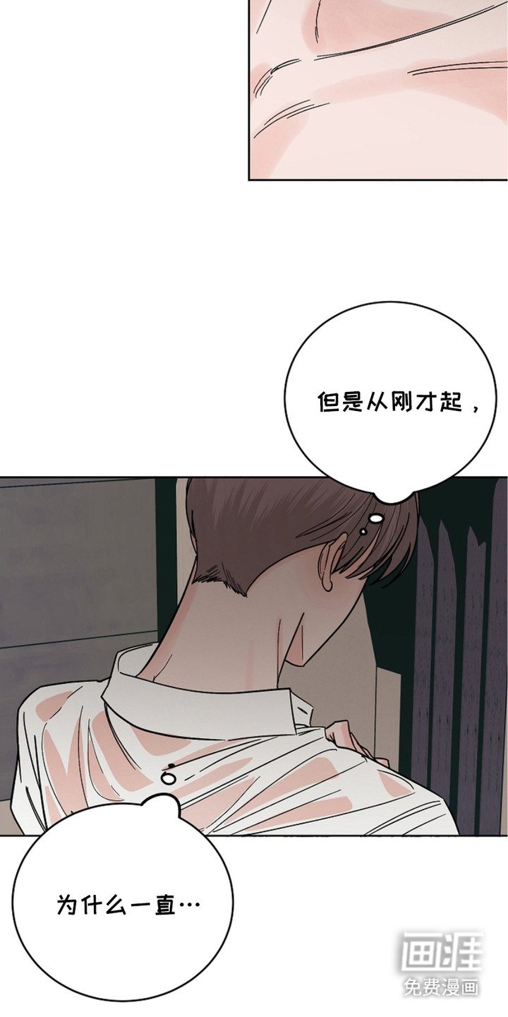 第28章：喜欢的理由