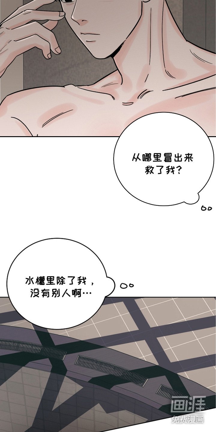 第28章：喜欢的理由
