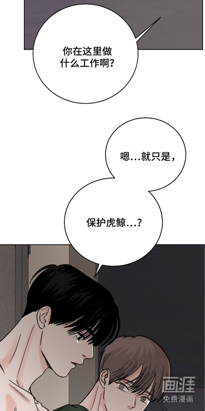 第28章：喜欢的理由