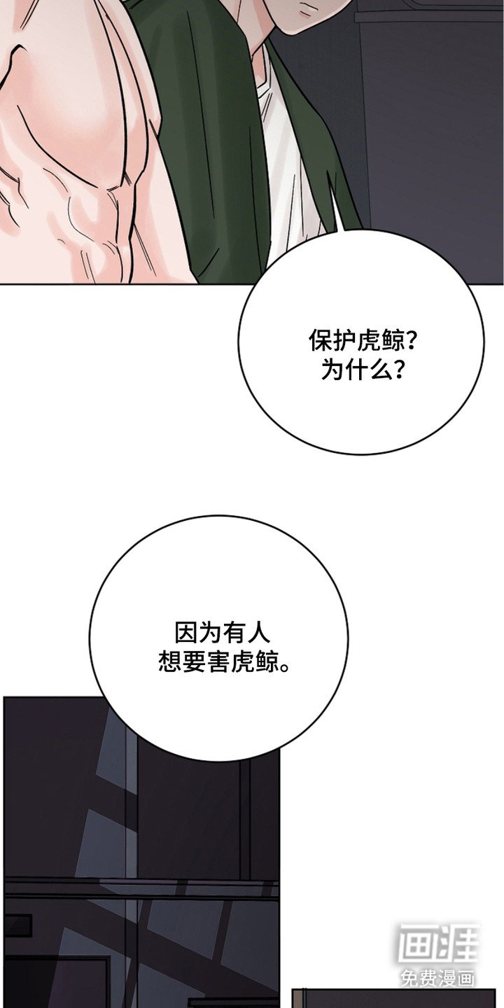 第28章：喜欢的理由