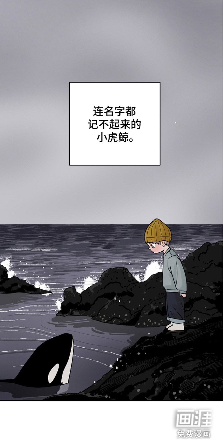 第28章：喜欢的理由