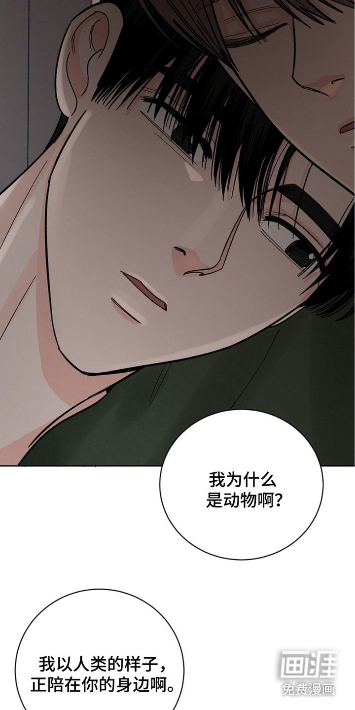 第29章：继续靠近