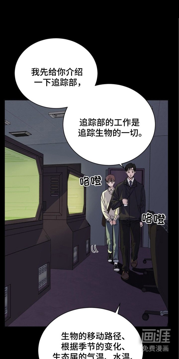 第3章：虎鲸