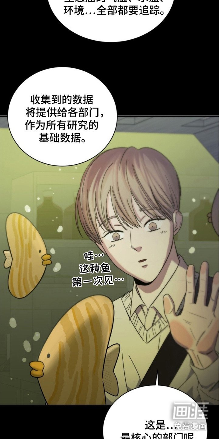 第3章：虎鲸