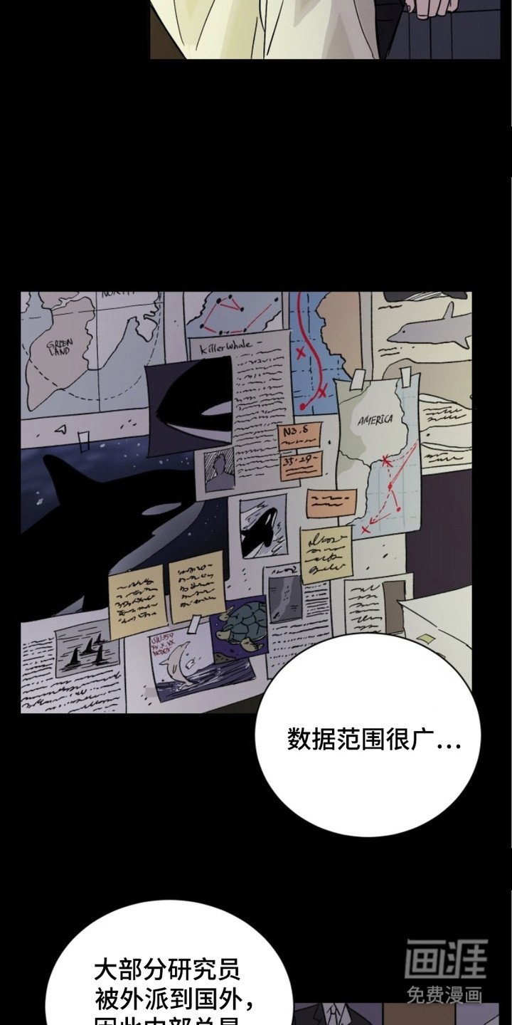 第3章：虎鲸