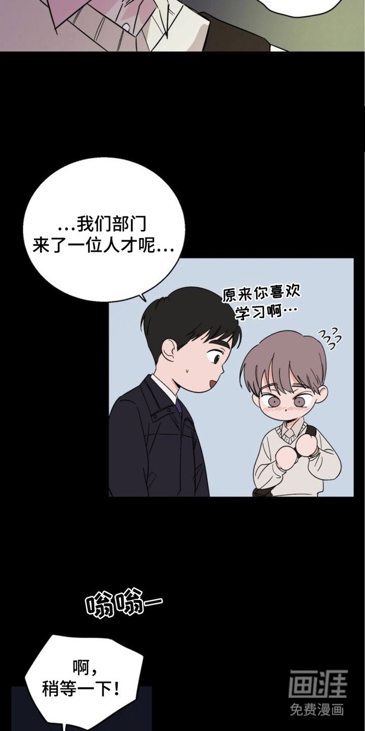 第3章：虎鲸