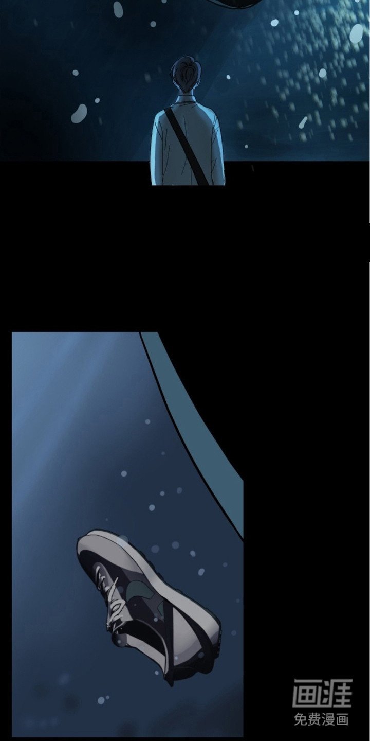 第3章：虎鲸
