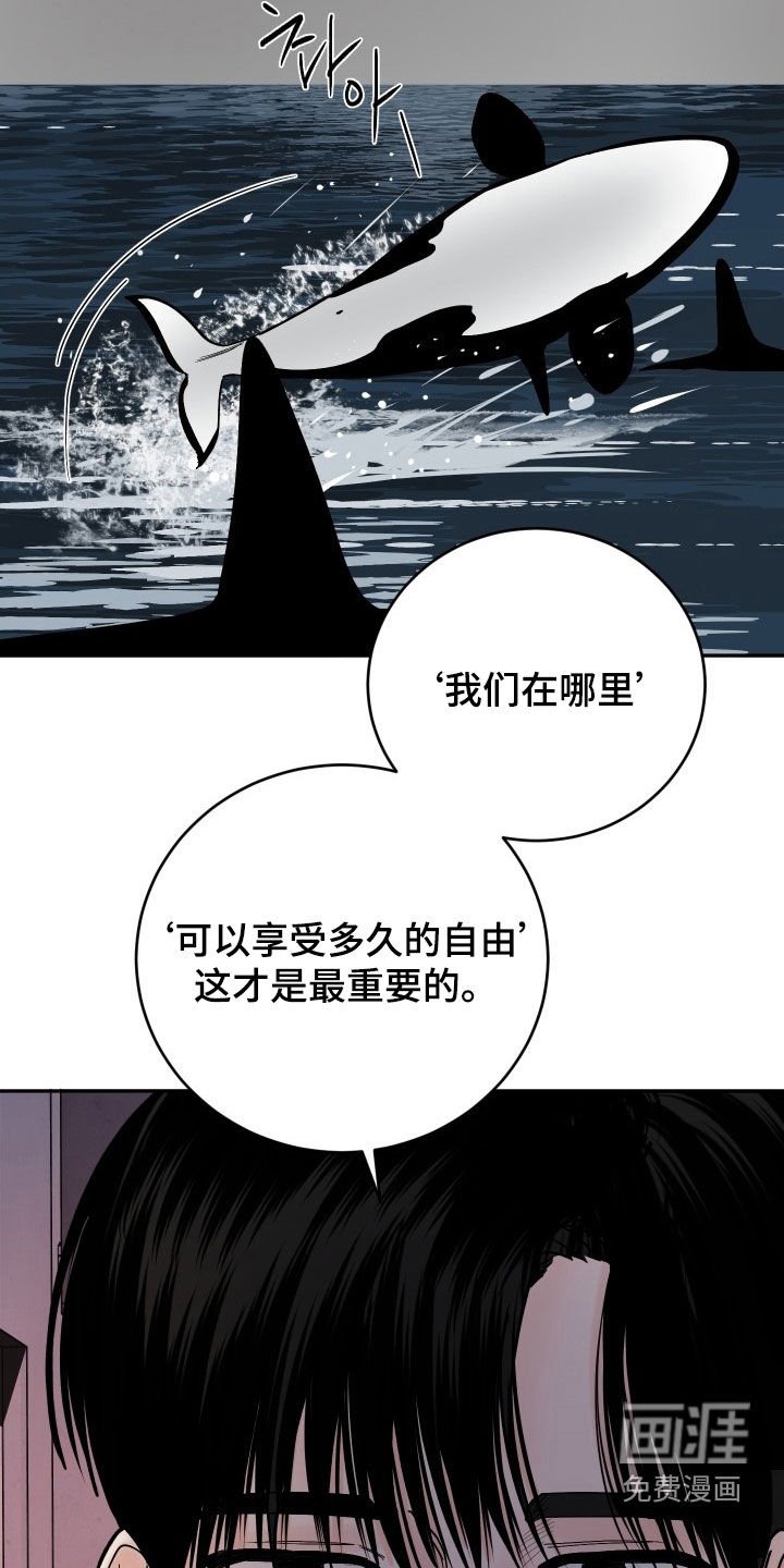 第43章：真心