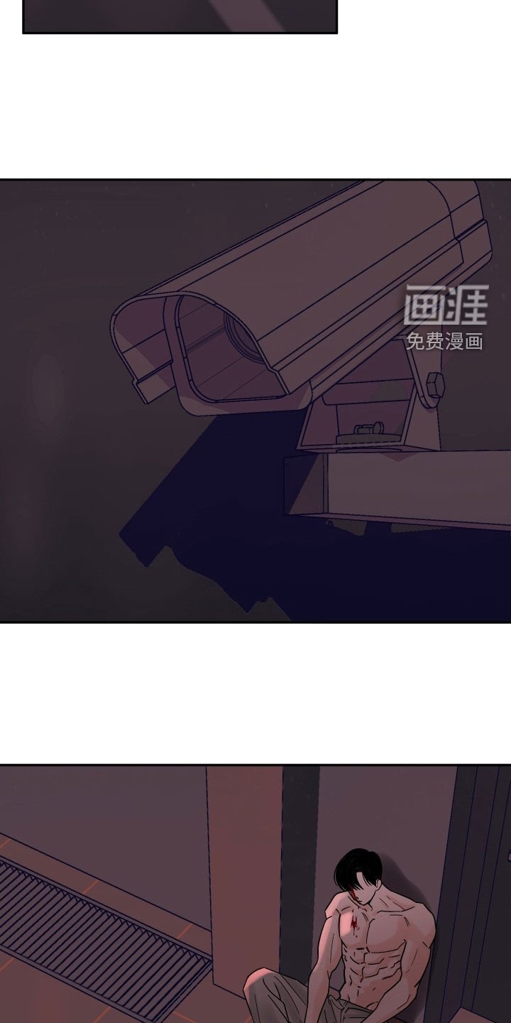 第46章：令人心寒