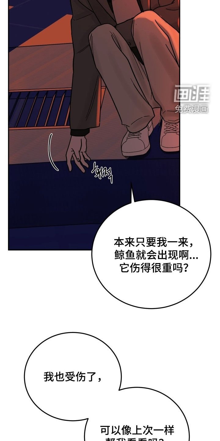 第49章：没法离开