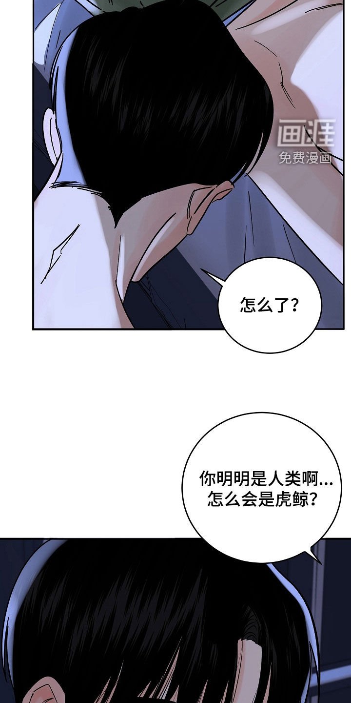 第56章：没有任何意义