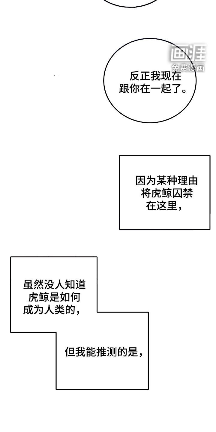 第57章：跟虎鲸一起玩