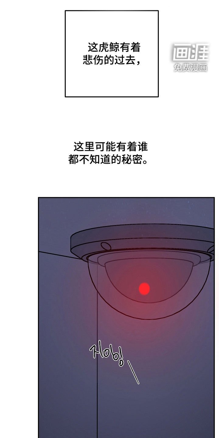 第57章：跟虎鲸一起玩