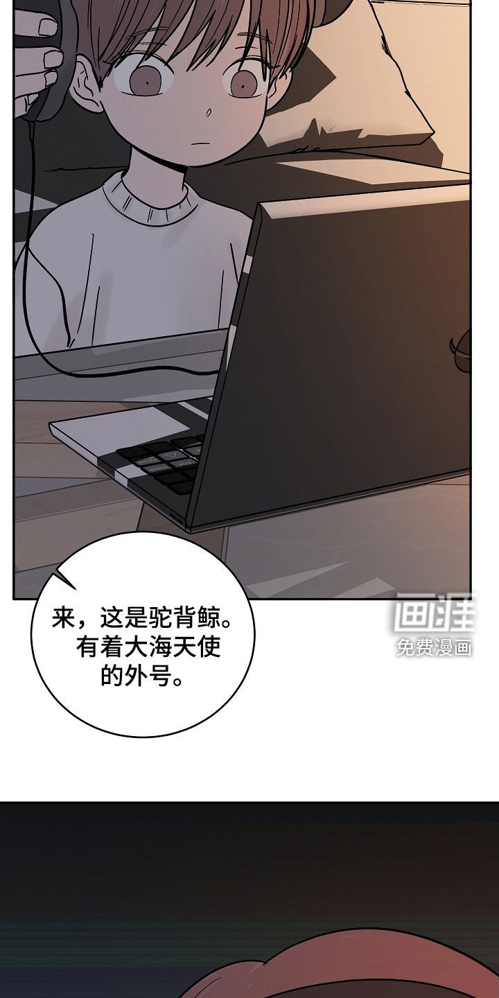 第62章：初见