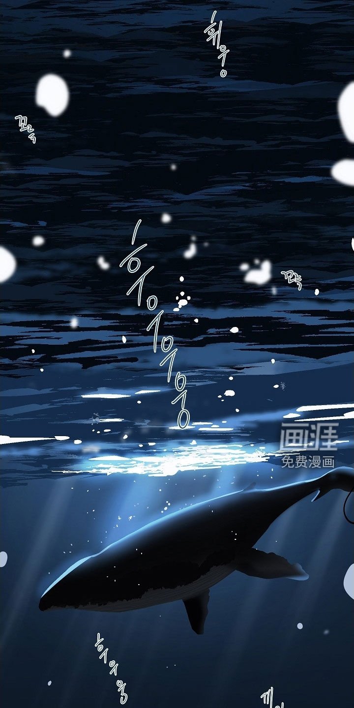 第62章：初见