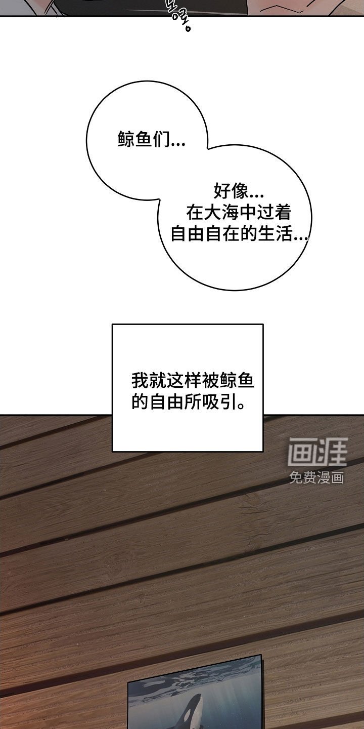 第62章：初见