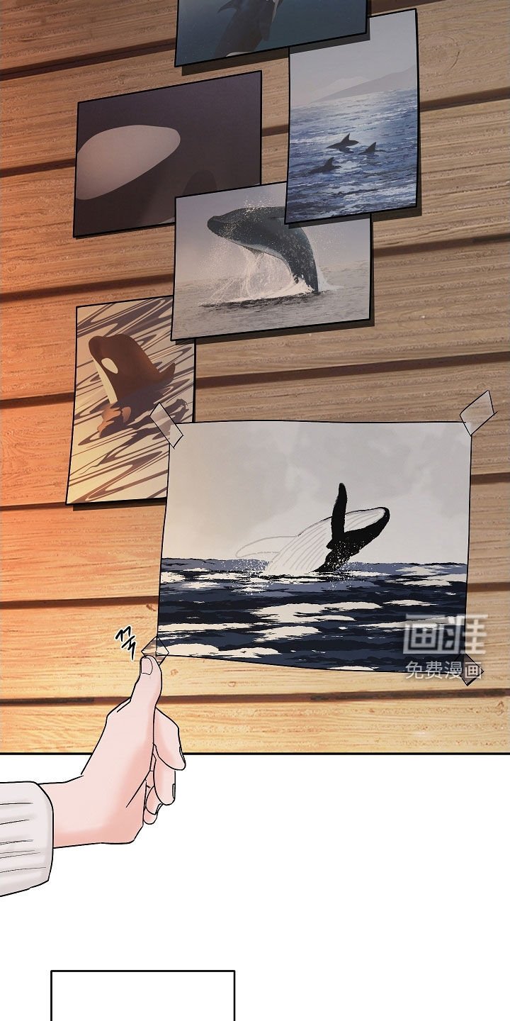 第62章：初见