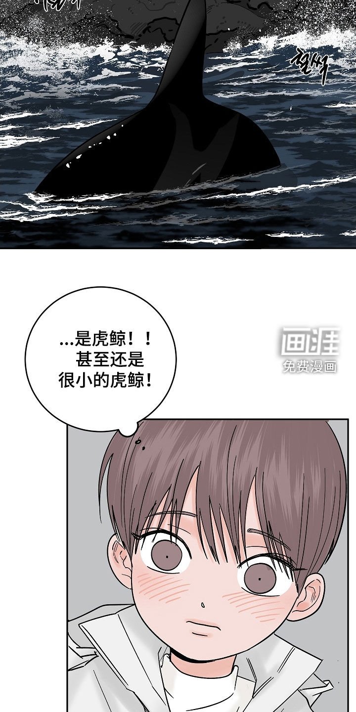 第62章：初见