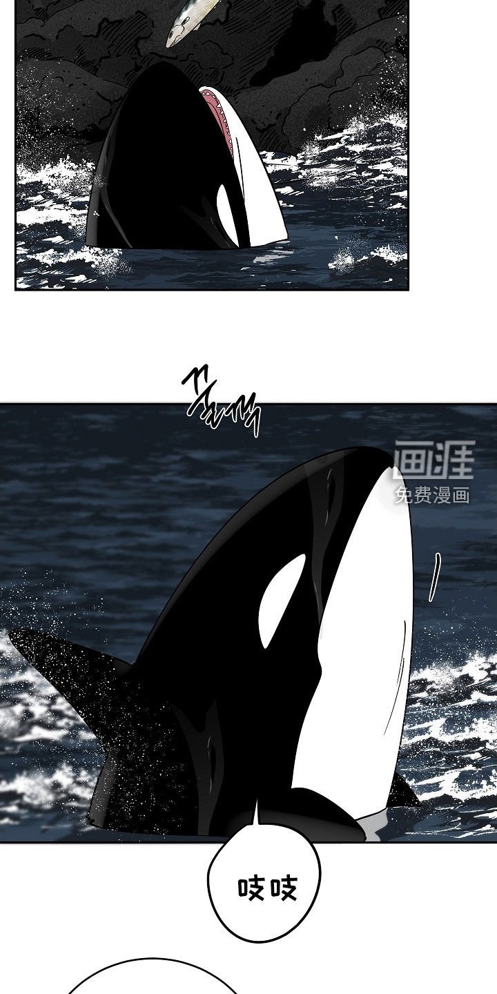 第62章：初见