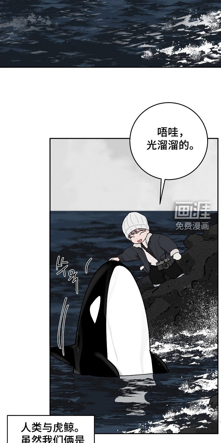 第62章：初见
